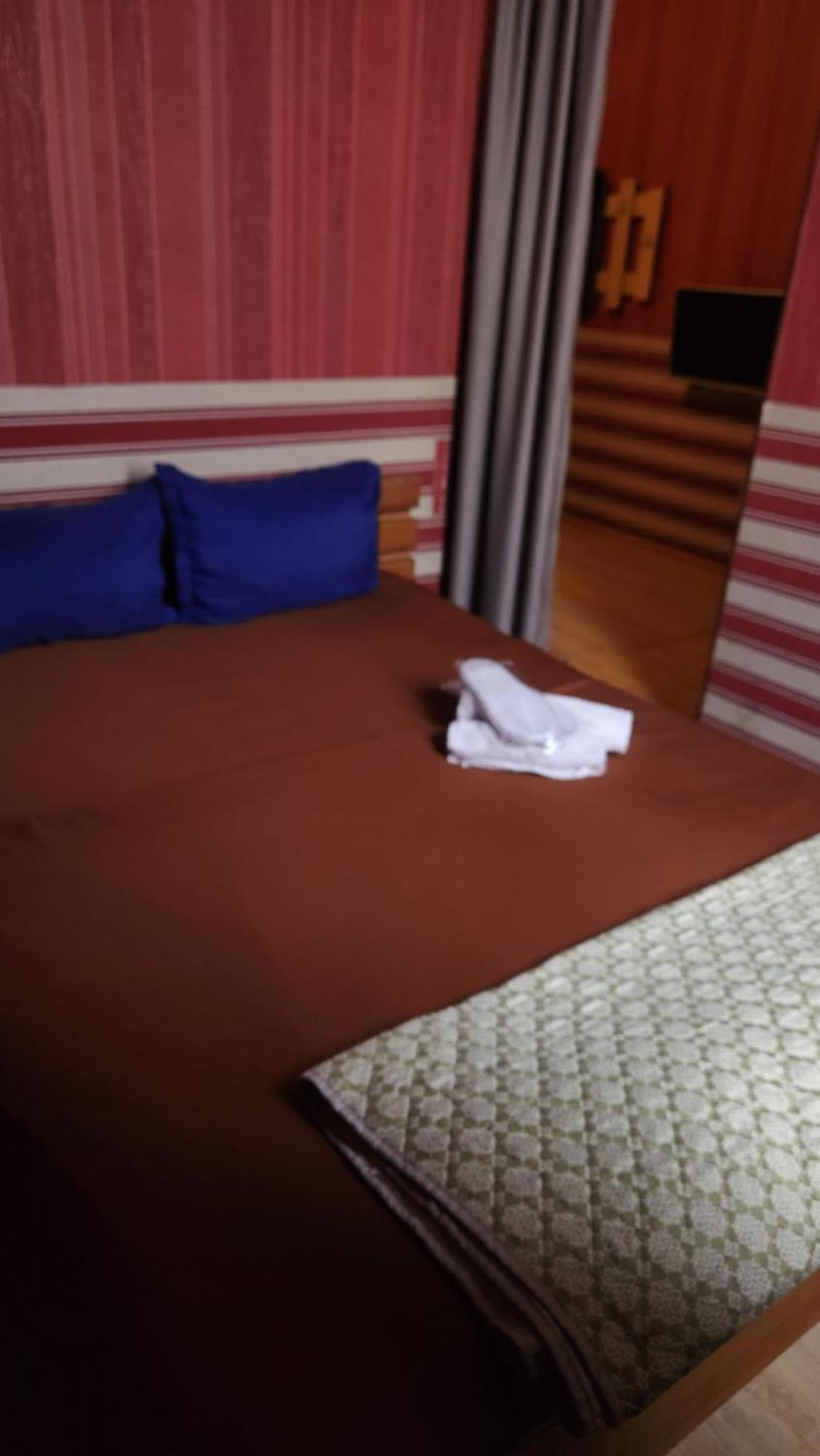 Hotel ,,Mega" ティビリシ エクステリア 写真